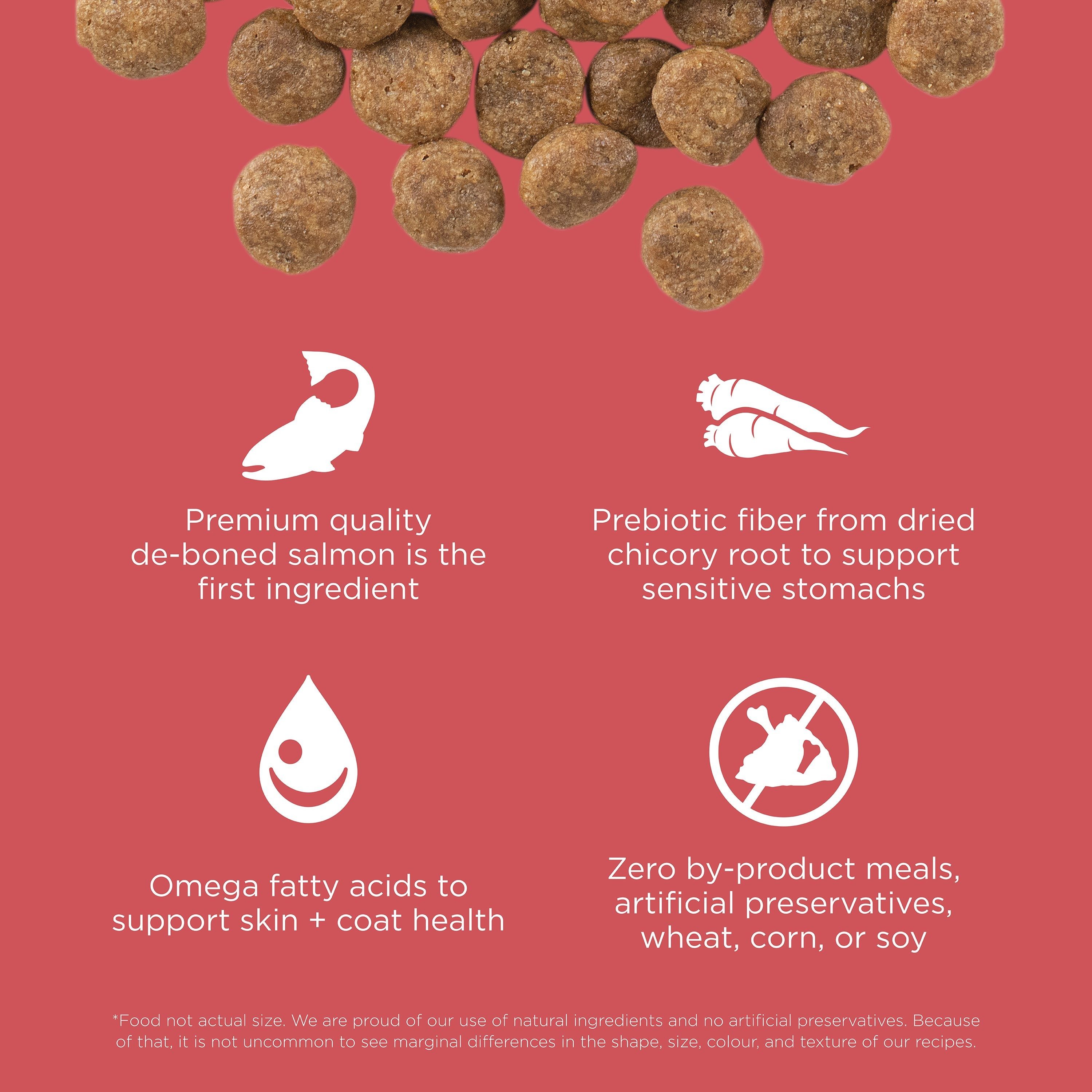 GO! SOLUTIONS SENSITIVITIES Grain Free LID Salmon Recipe | 10kg
