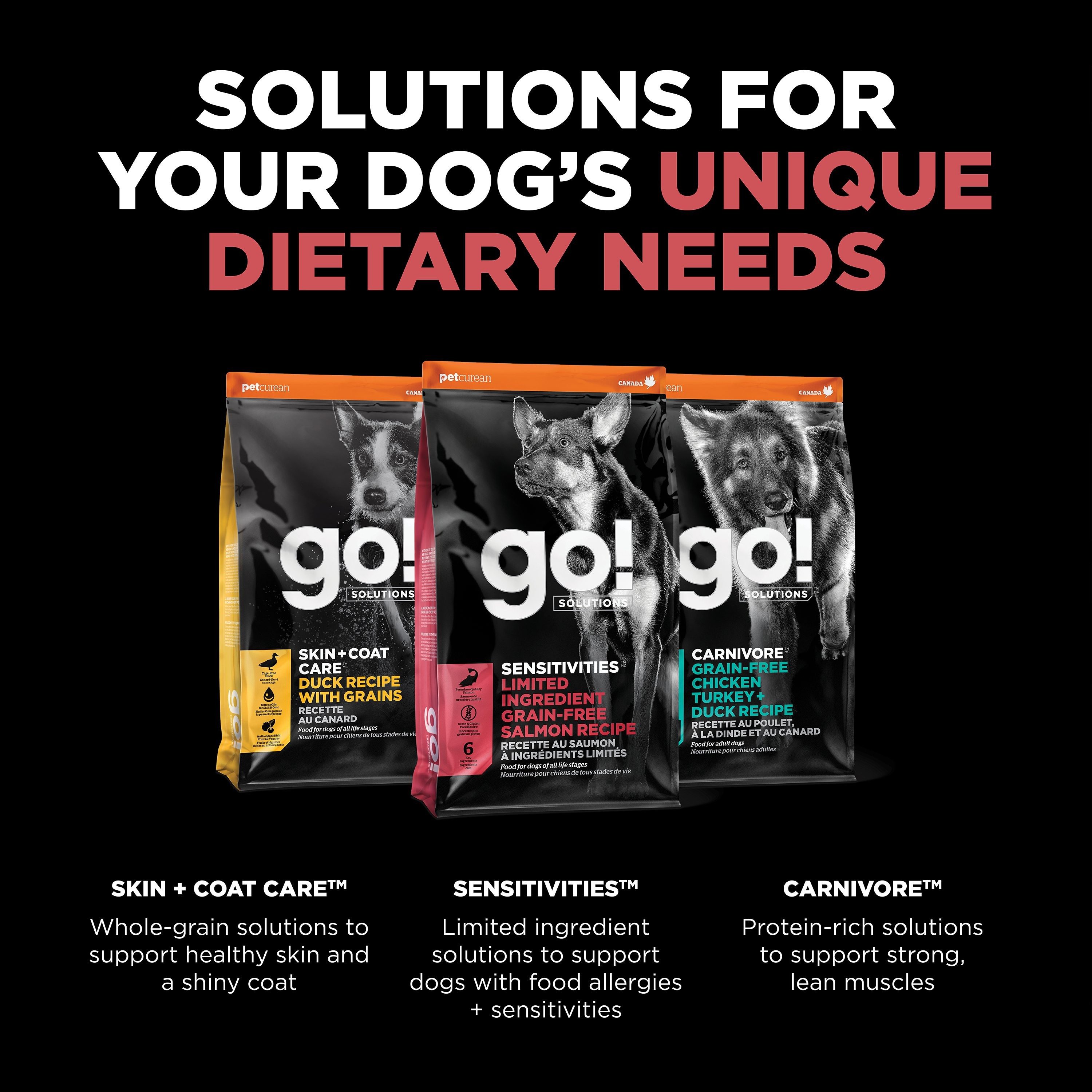 GO! SOLUTIONS SENSITIVITIES Grain Free LID Salmon Recipe | 10kg