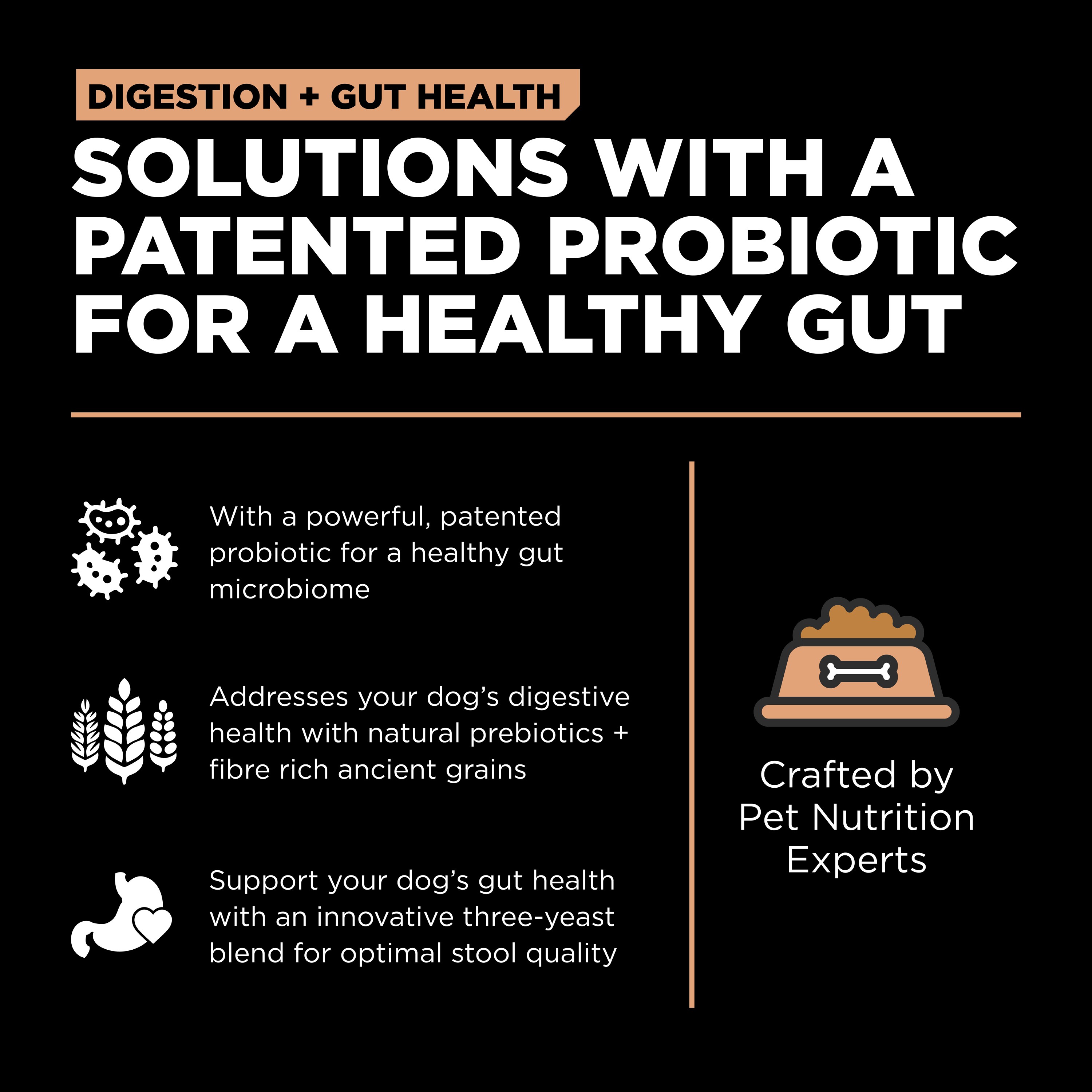 GO! SOLUTIONS Digestion + Gut Health Salmon Recipe with Ancient Grains for dogs | 1.6kg