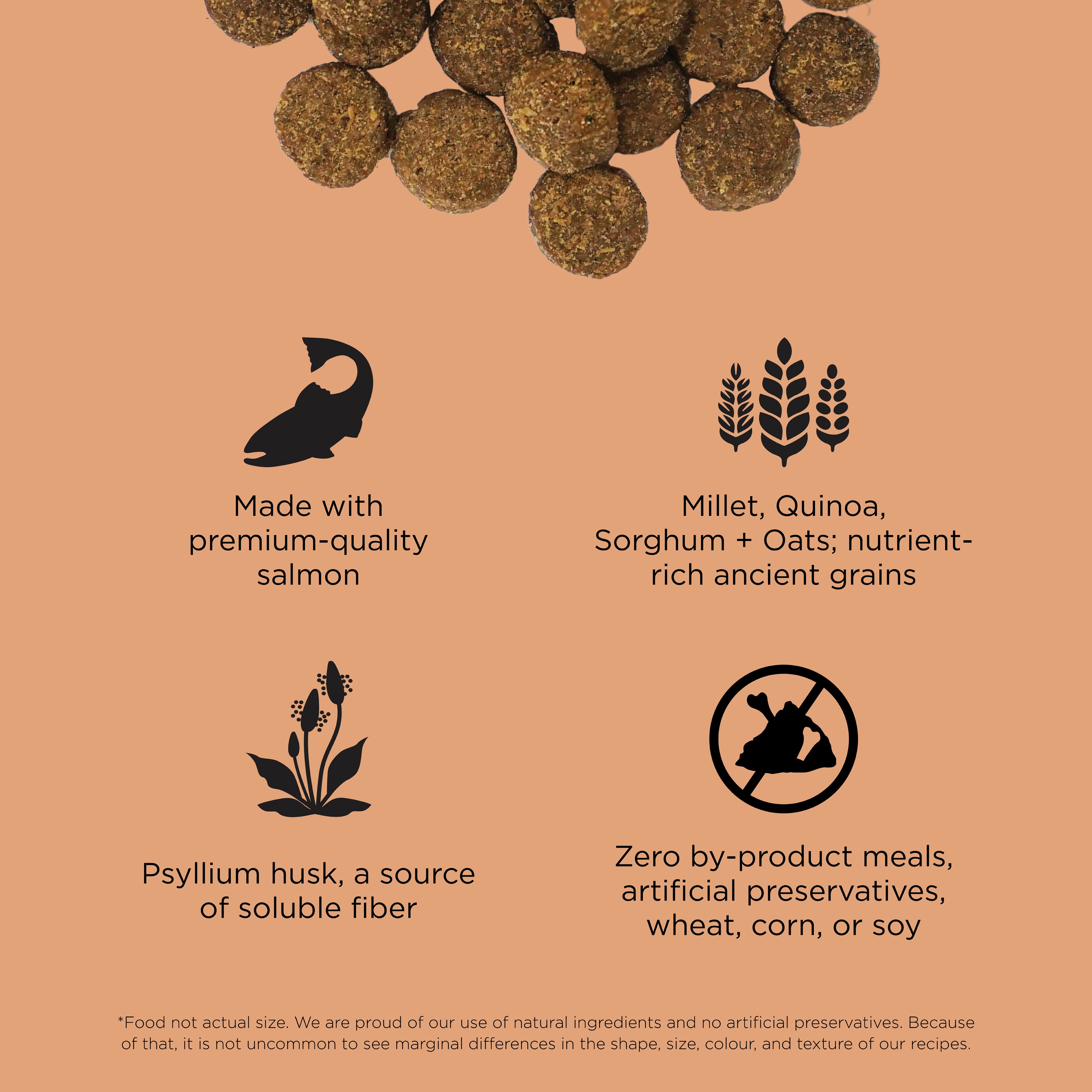 GO! SOLUTIONS Digestion + Gut Health Salmon Recipe with Ancient Grains for dogs | 1.6kg