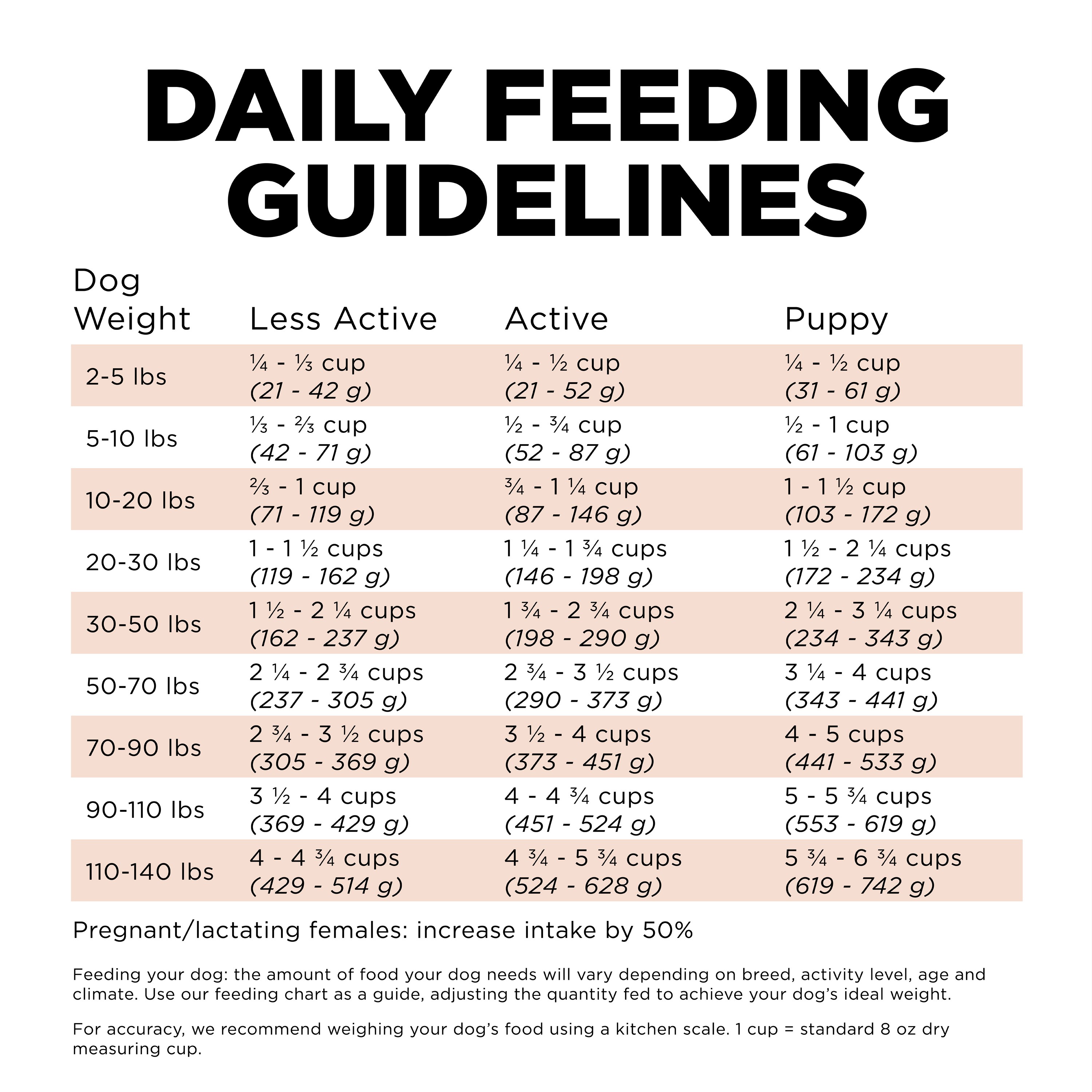 GO! SOLUTIONS Digestion + Gut Health Salmon Recipe with Ancient Grains for dogs | 1.6kg