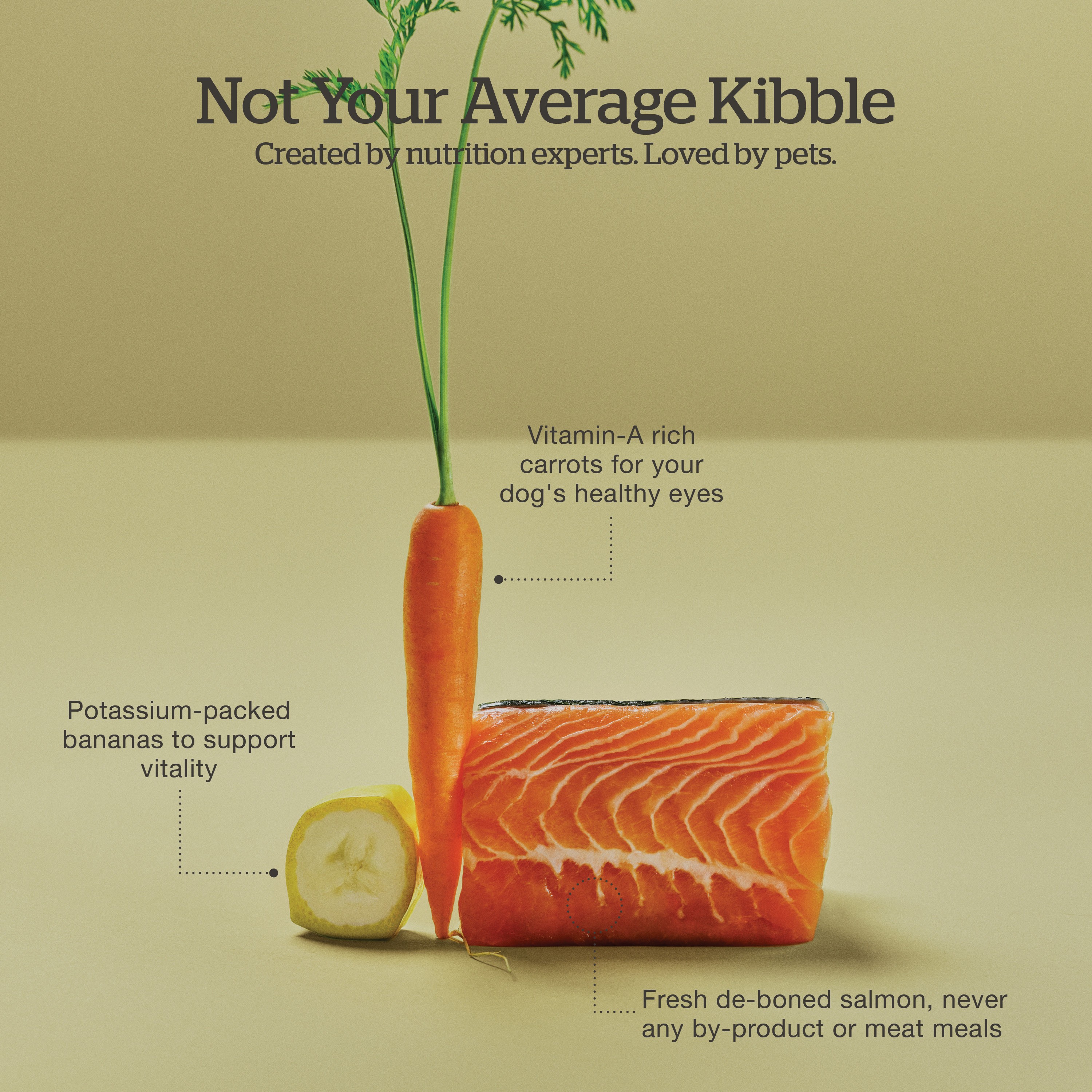 NOW FRESH Good Gravy Small Breed Adult Salmon Recipe with Ancient Grains for dogs | 1.6kg