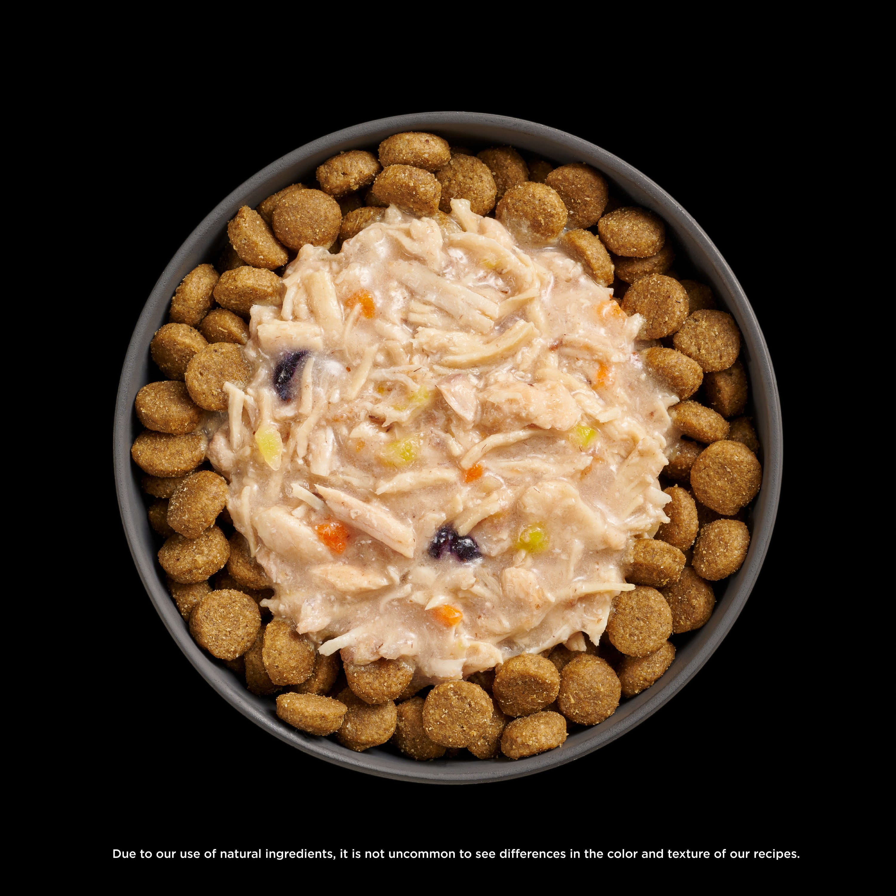 *NEW* GO! SOLUTIONS Booster Immune Health Shredded Chicken + Salmon Recipe | 24/79g