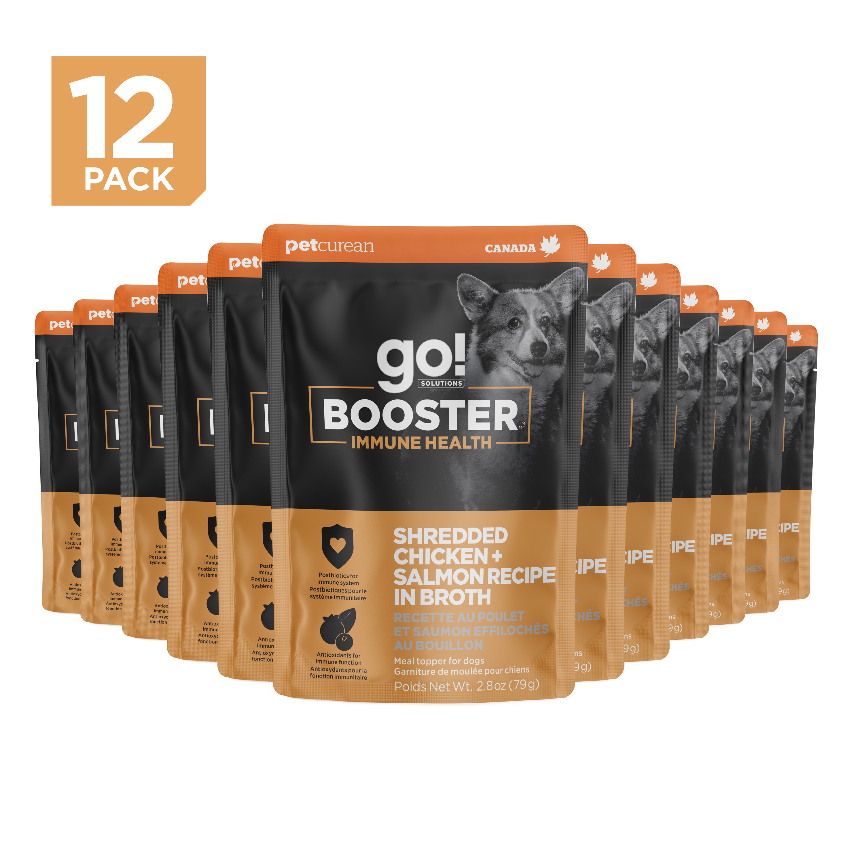 *NEW* GO! SOLUTIONS Booster Immune Health Shredded Chicken + Salmon Recipe | 24/79g
