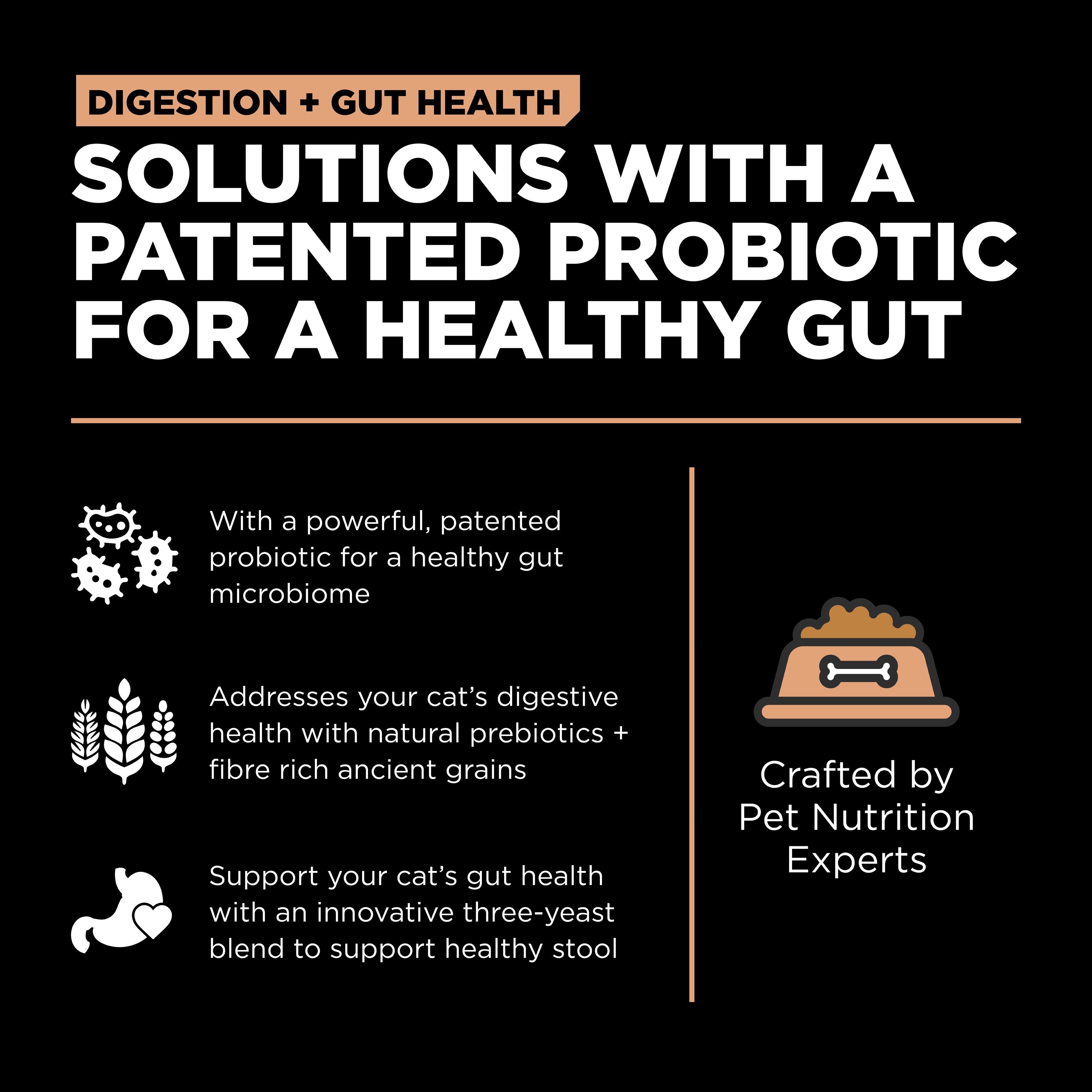 GO! SOLUTIONS Digestion + Gut Health Salmon Recipe with Ancient Grains for cats | 2.72kg