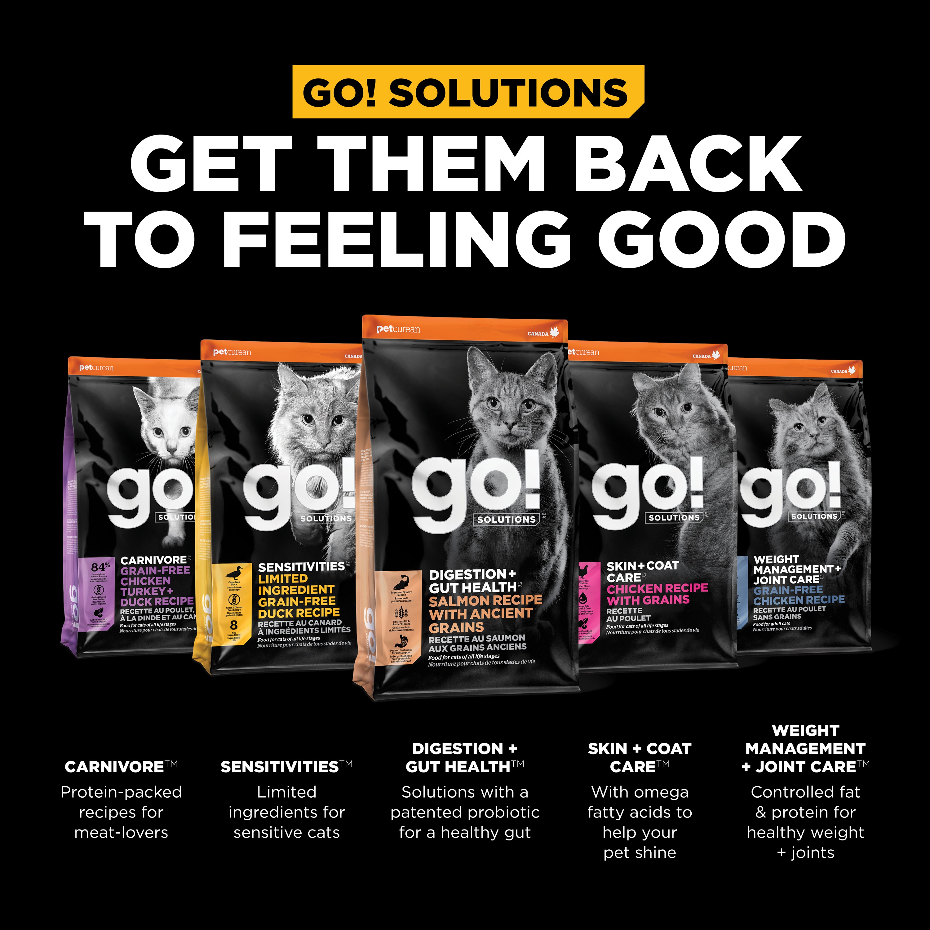 GO! SOLUTIONS Digestion + Gut Health Salmon Recipe with Ancient Grains for cats | 2.72kg