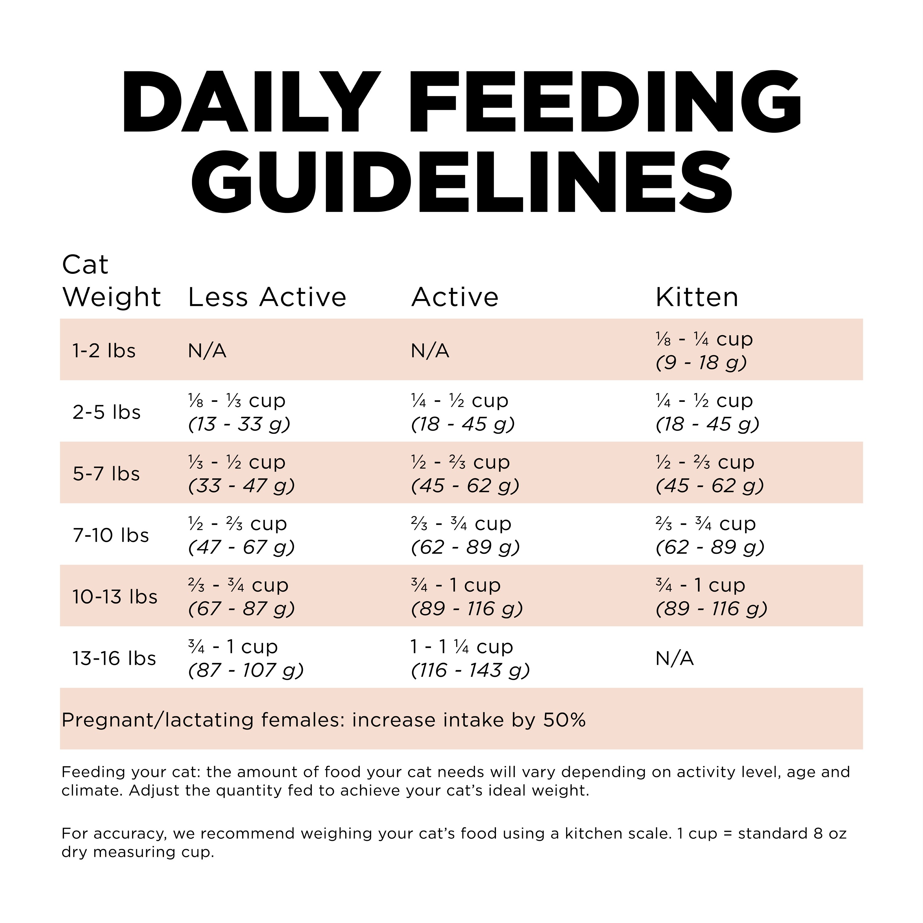 GO! SOLUTIONS Digestion + Gut Health Salmon Recipe with Ancient Grains for cats | 2.72kg
