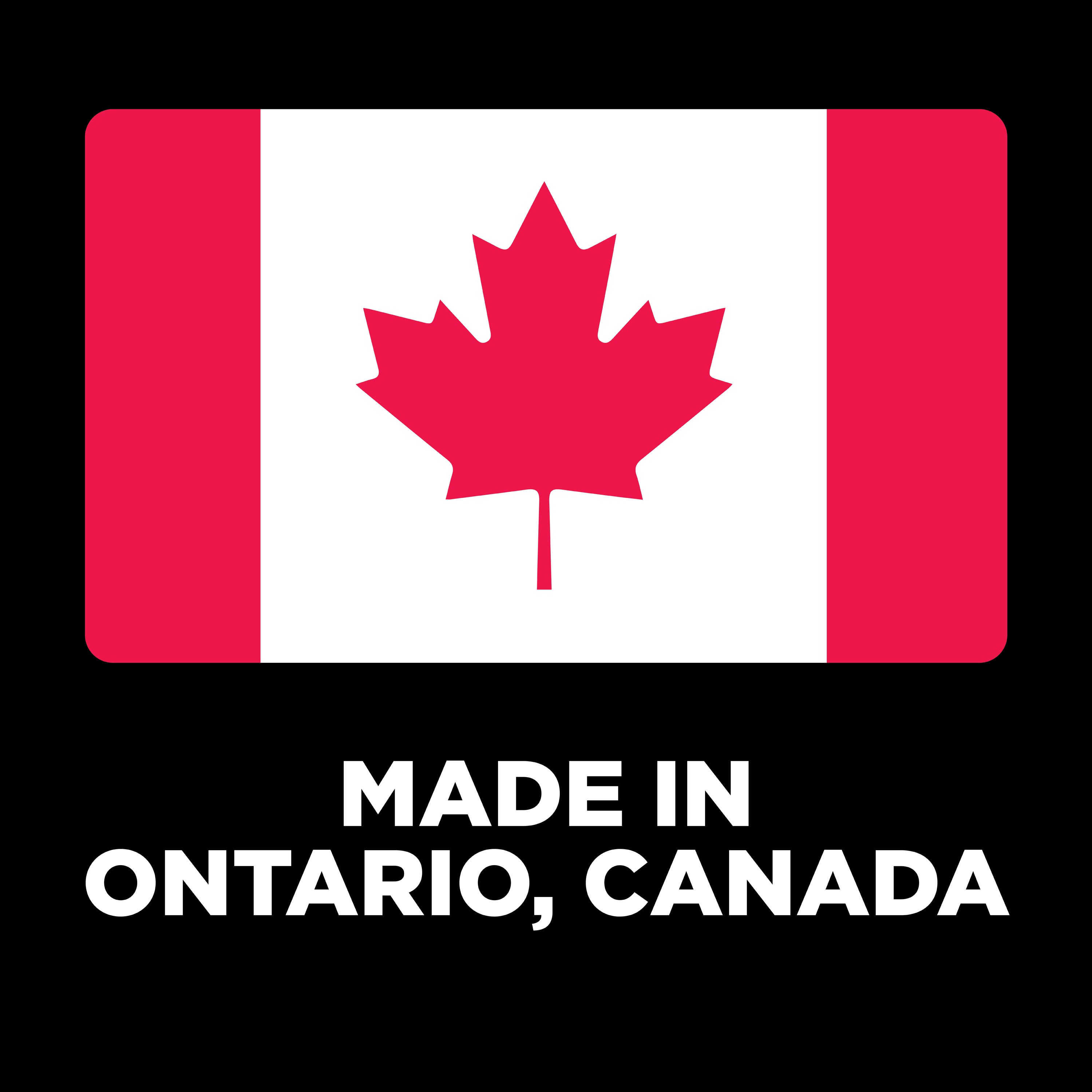 GO! SOLUTIONS Digestion + Gut Health Salmon Recipe with Ancient Grains for cats *Limited Availability* | 7.26kg