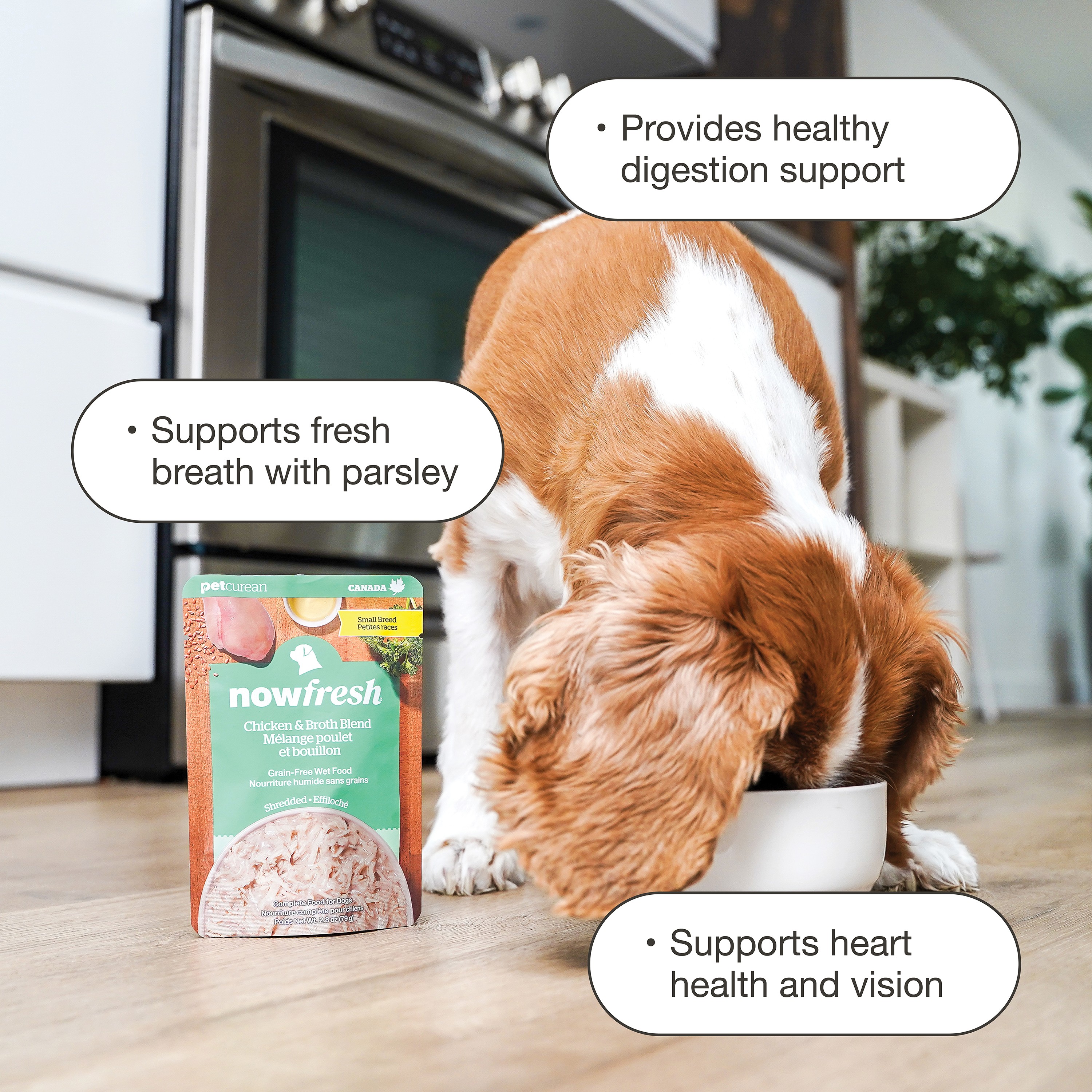 NOW FRESH Small Breed Shredded Chicken & Broth DF | 24/79g