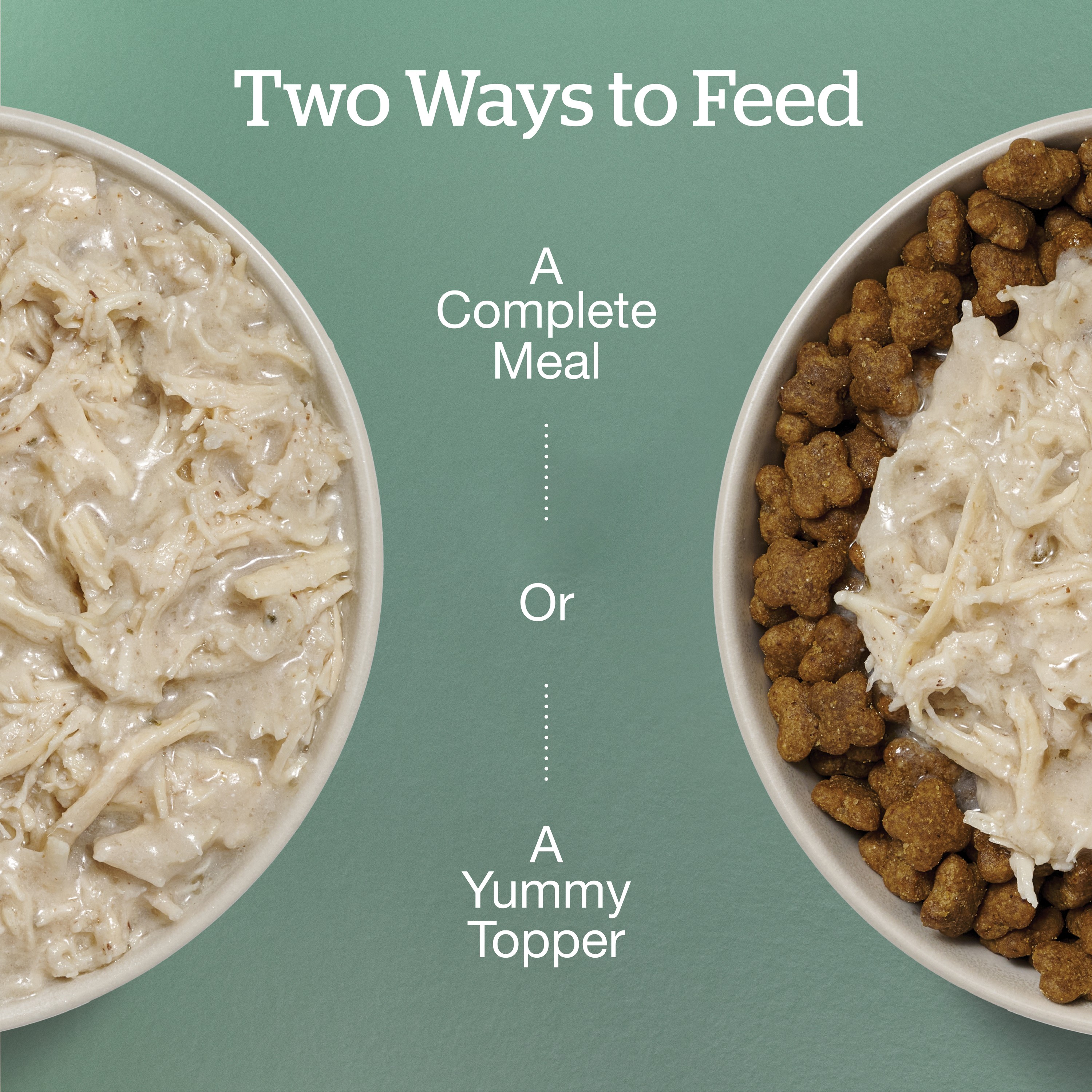 NOW FRESH Small Breed Shredded Chicken & Broth DF | 24/79g