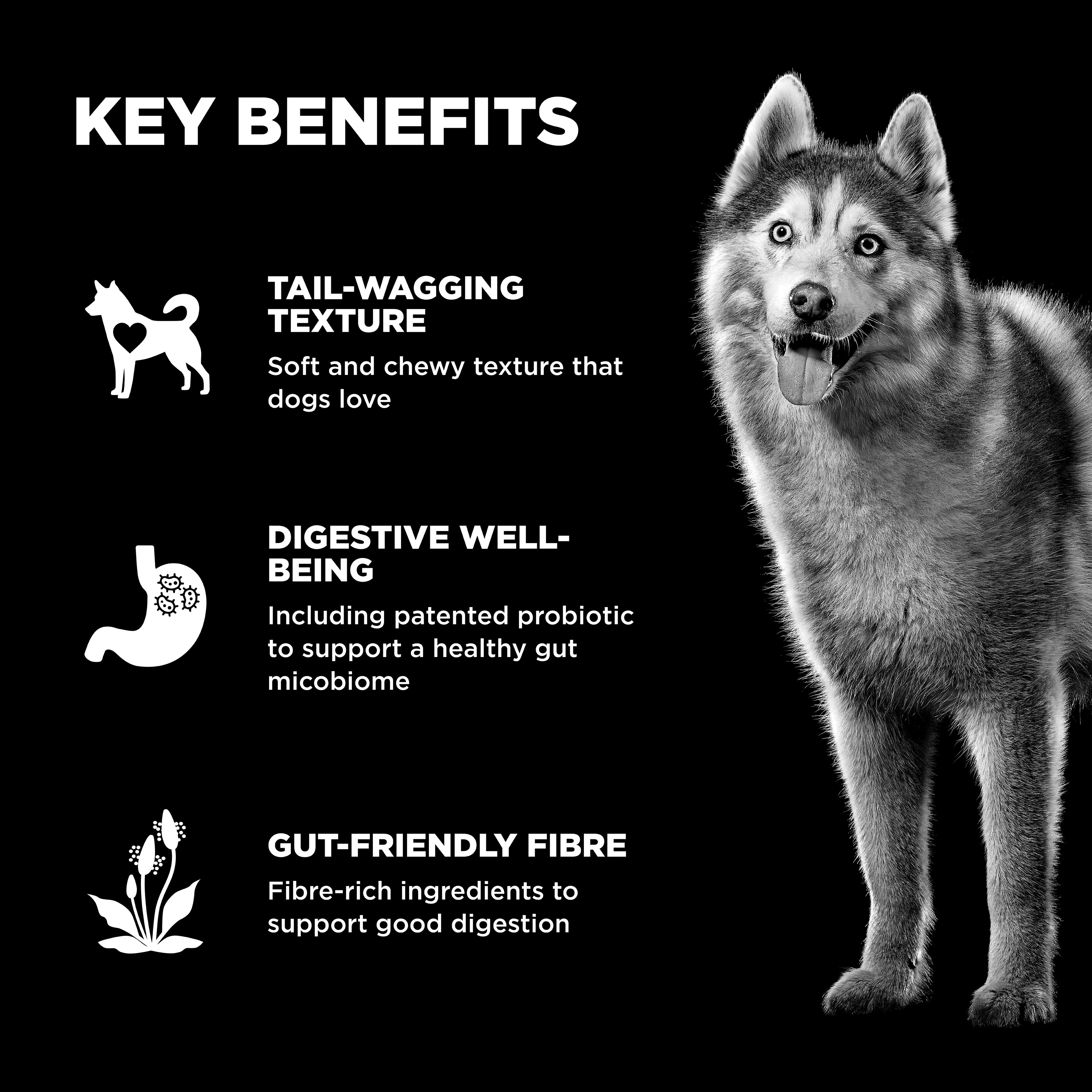 *NEW* GO! SOLUTIONS Benefit Chews Digestion + Gut Health Salmon DF | 10/170g