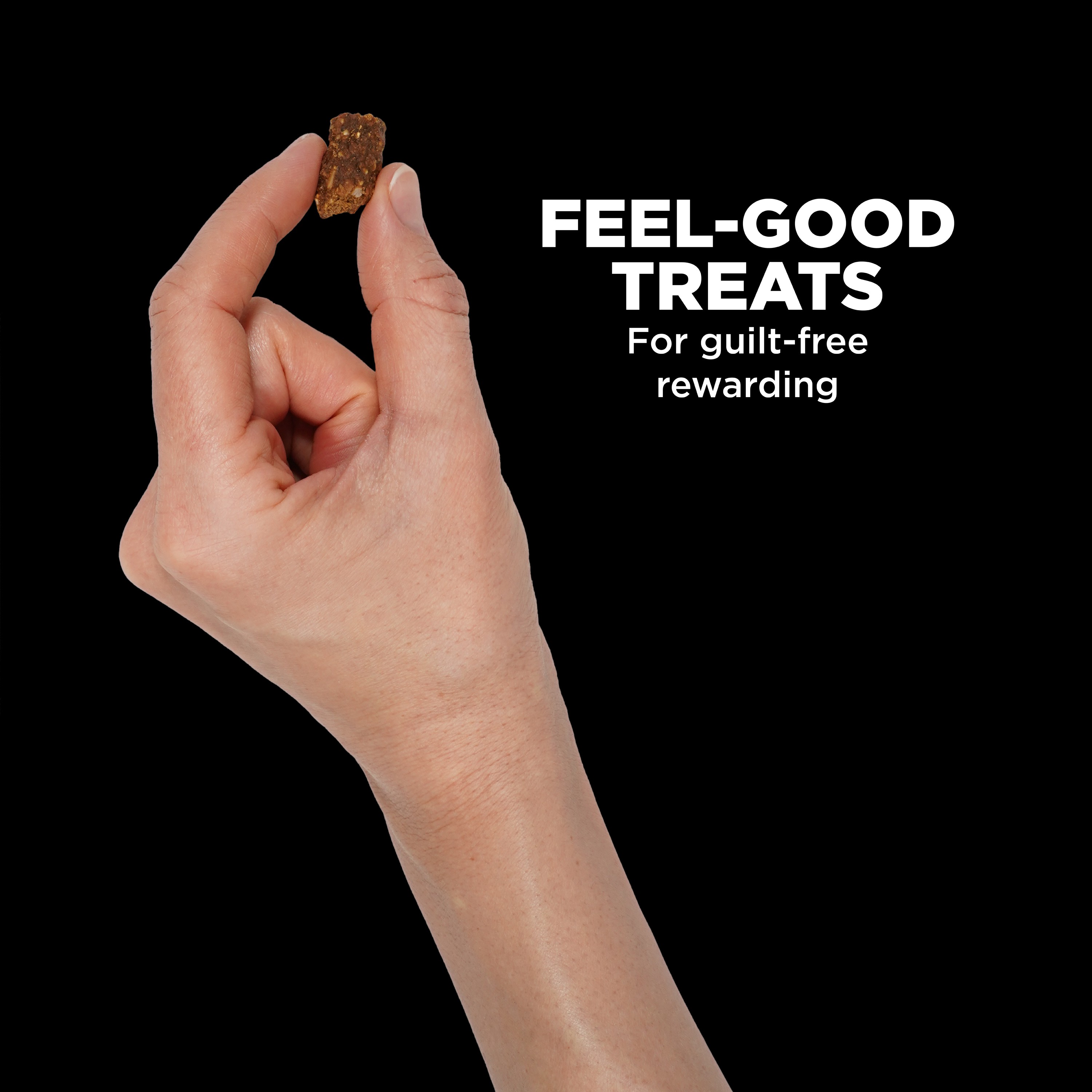 *NEW* GO! SOLUTIONS Benefit Chews Digestion + Gut Health Salmon DF | 10/170g