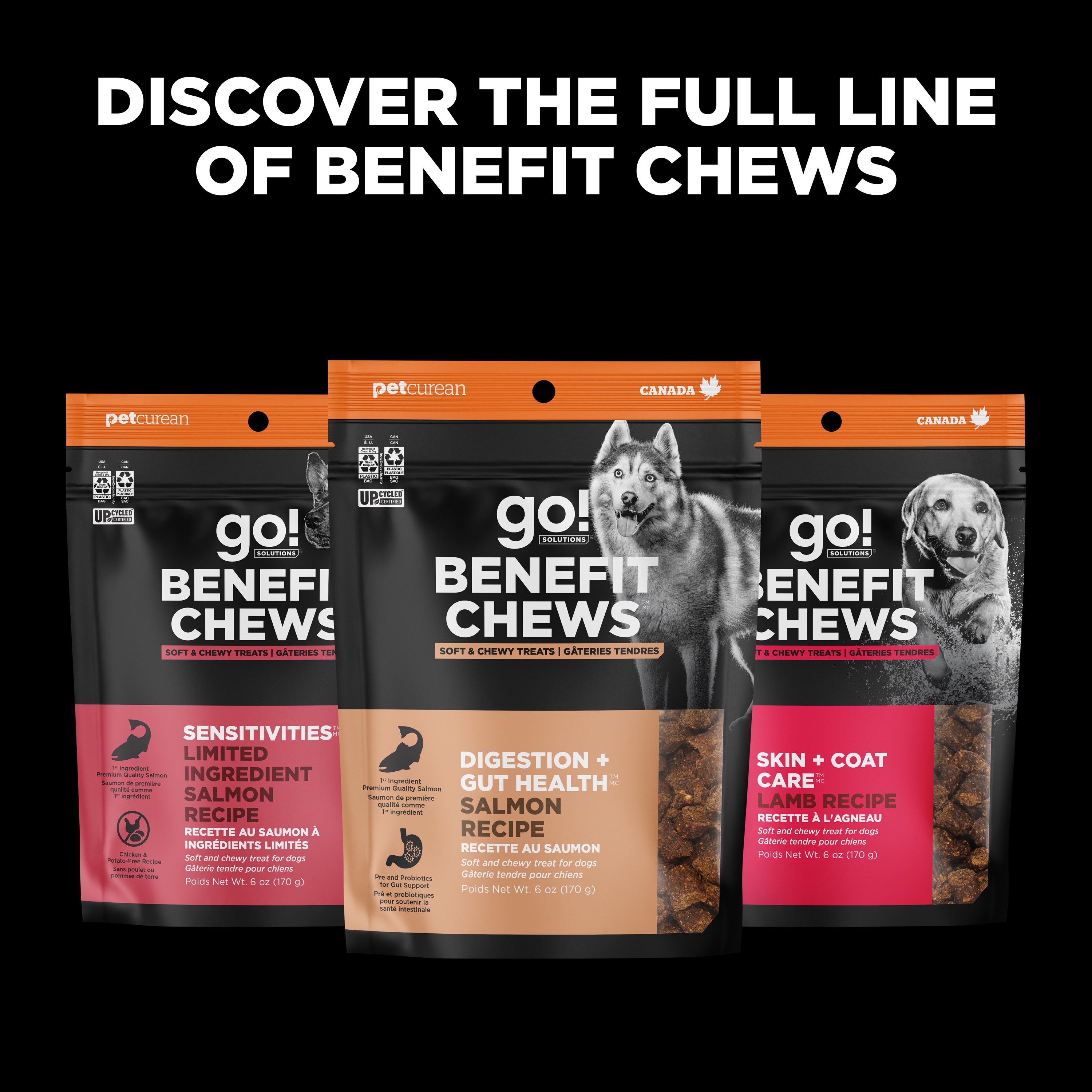 *NEW* GO! SOLUTIONS Benefit Chews Digestion + Gut Health Salmon DF | 10/170g