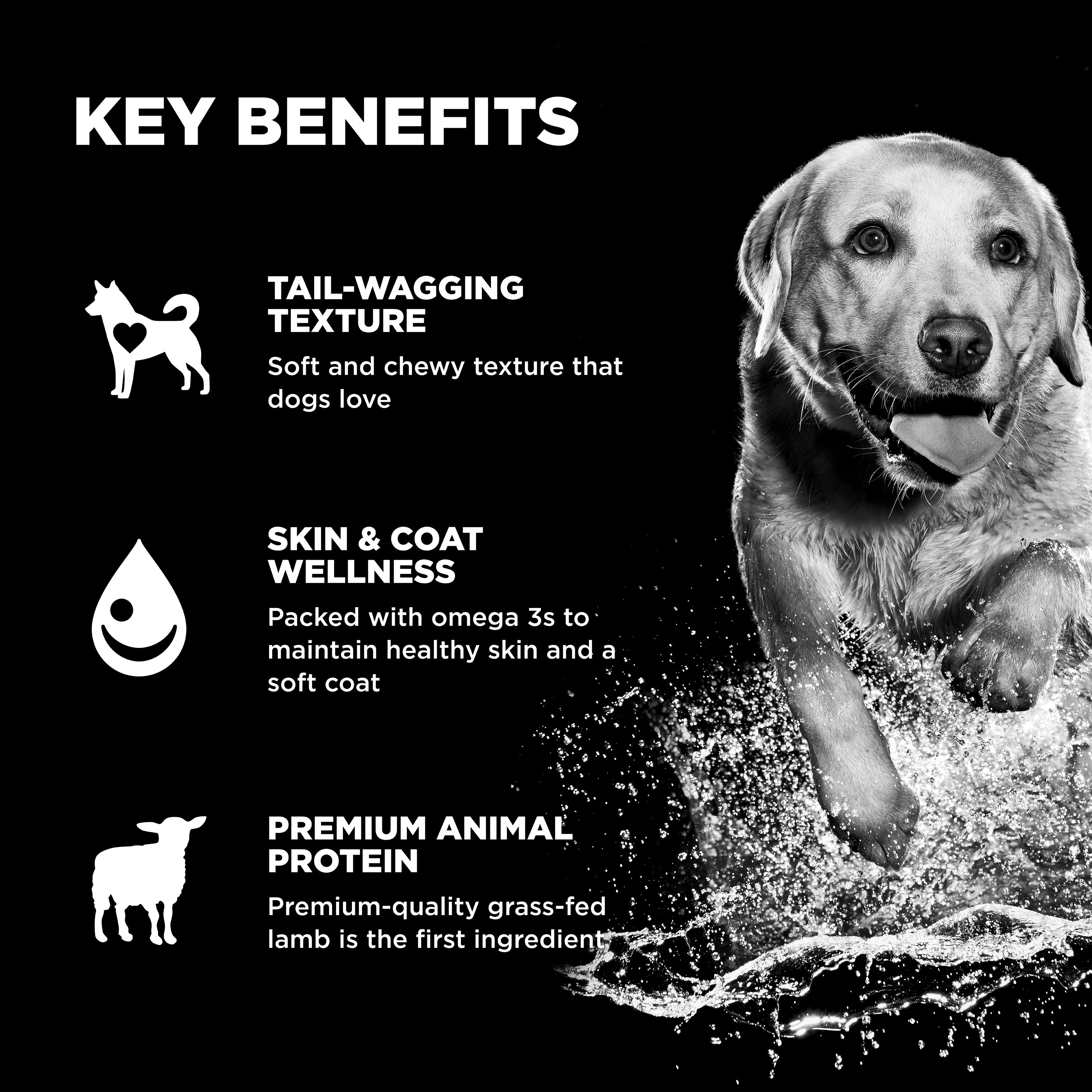 *NEW* GO! SOLUTIONS Benefit Chews SKIN + COAT Lamb DF | 10/170g