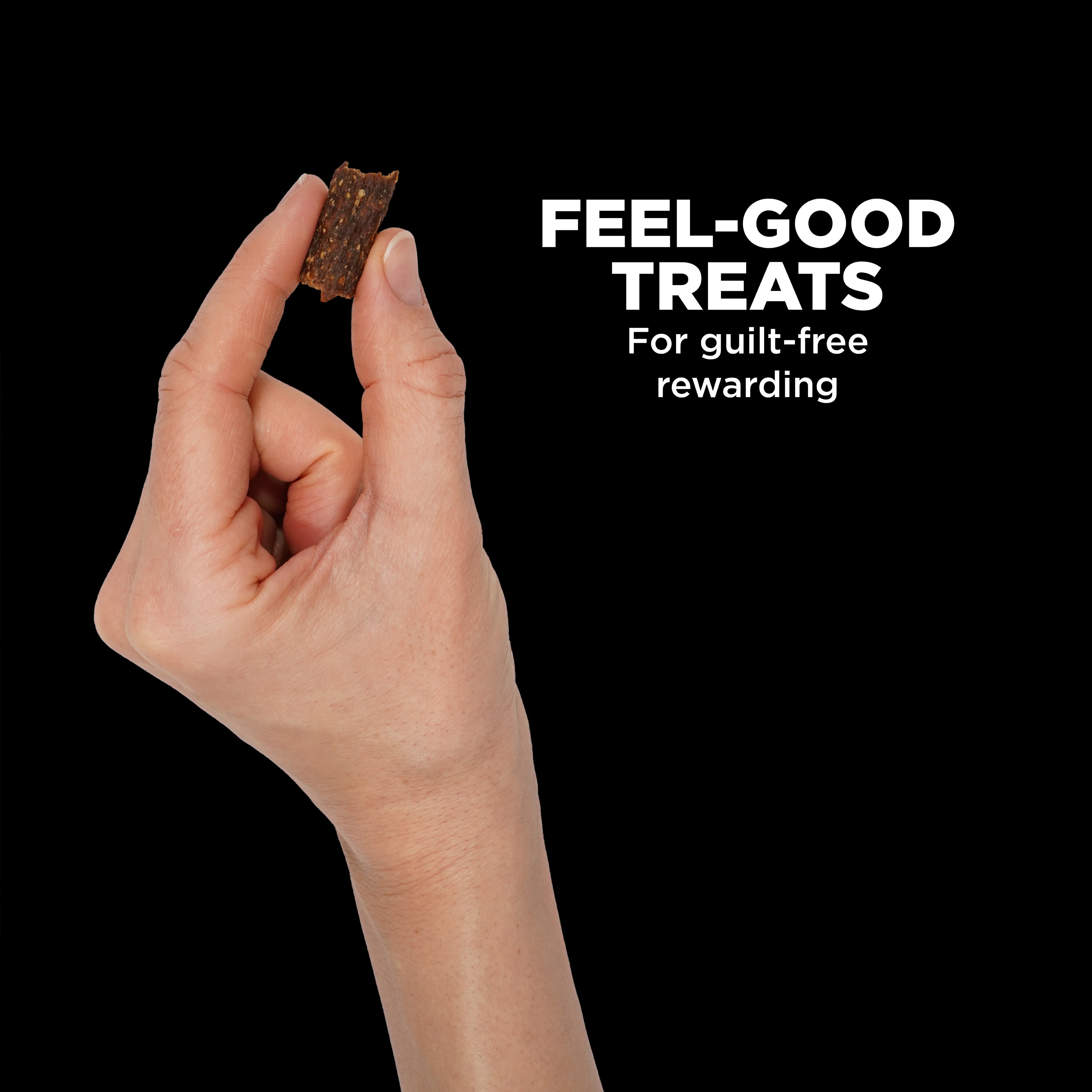 *NEW* GO! SOLUTIONS Benefit Chews SKIN + COAT Lamb DF | 10/170g