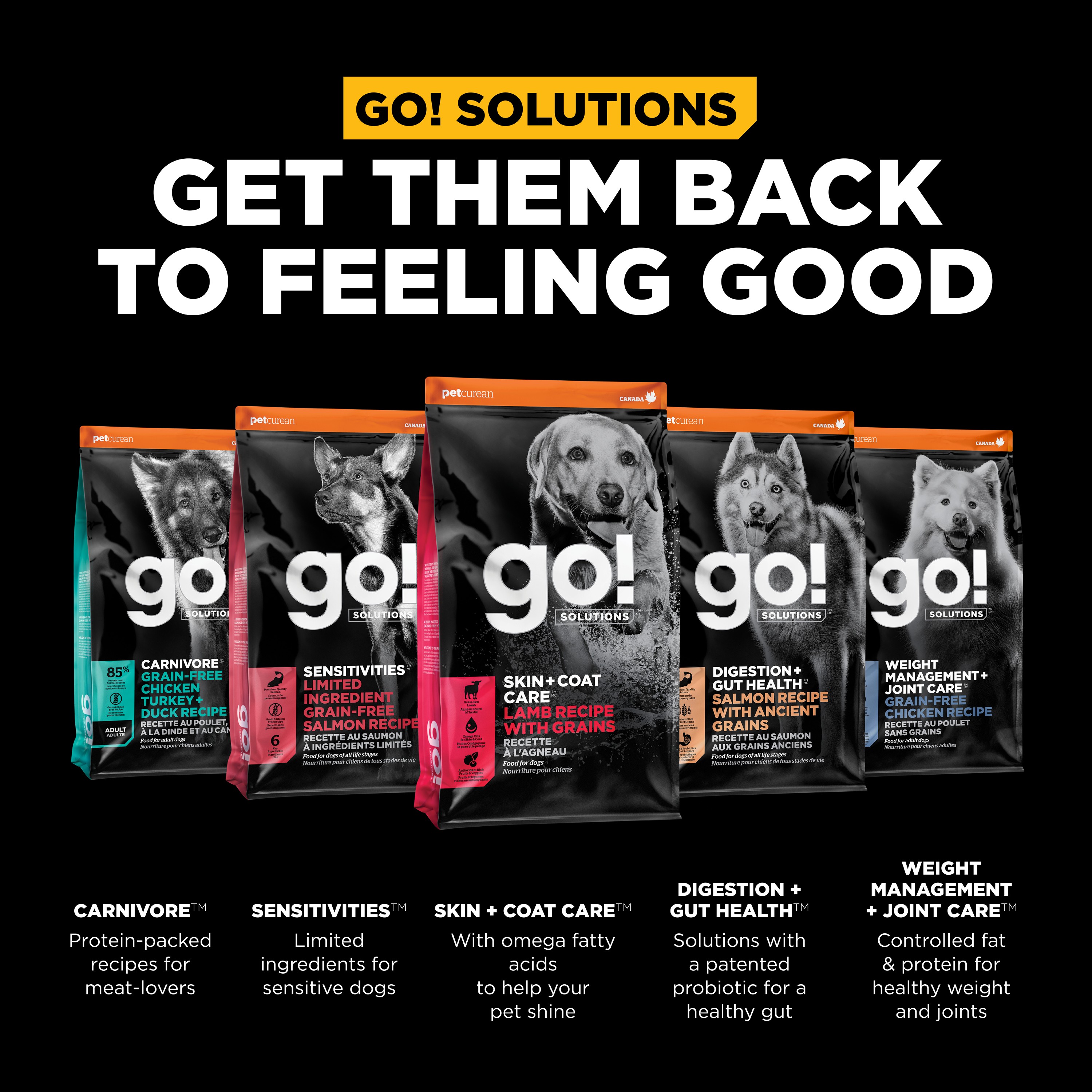 *NEW* GO! SOLUTIONS Benefit Chews SKIN + COAT Lamb DF | 10/170g