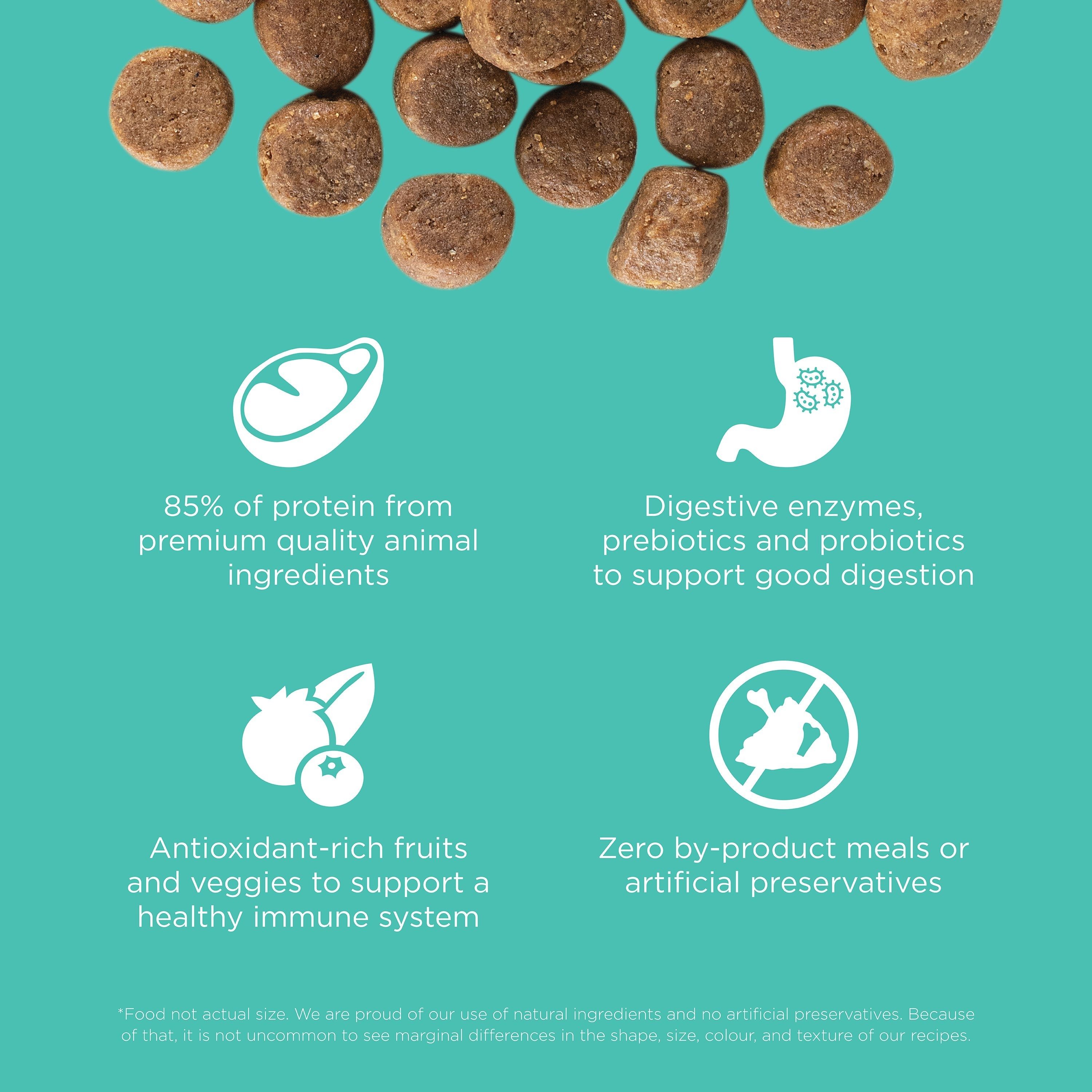 GO! SOLUTIONS CARNIVORE GF Chicken, Turkey + Duck Adult Recipe | 1.6kg