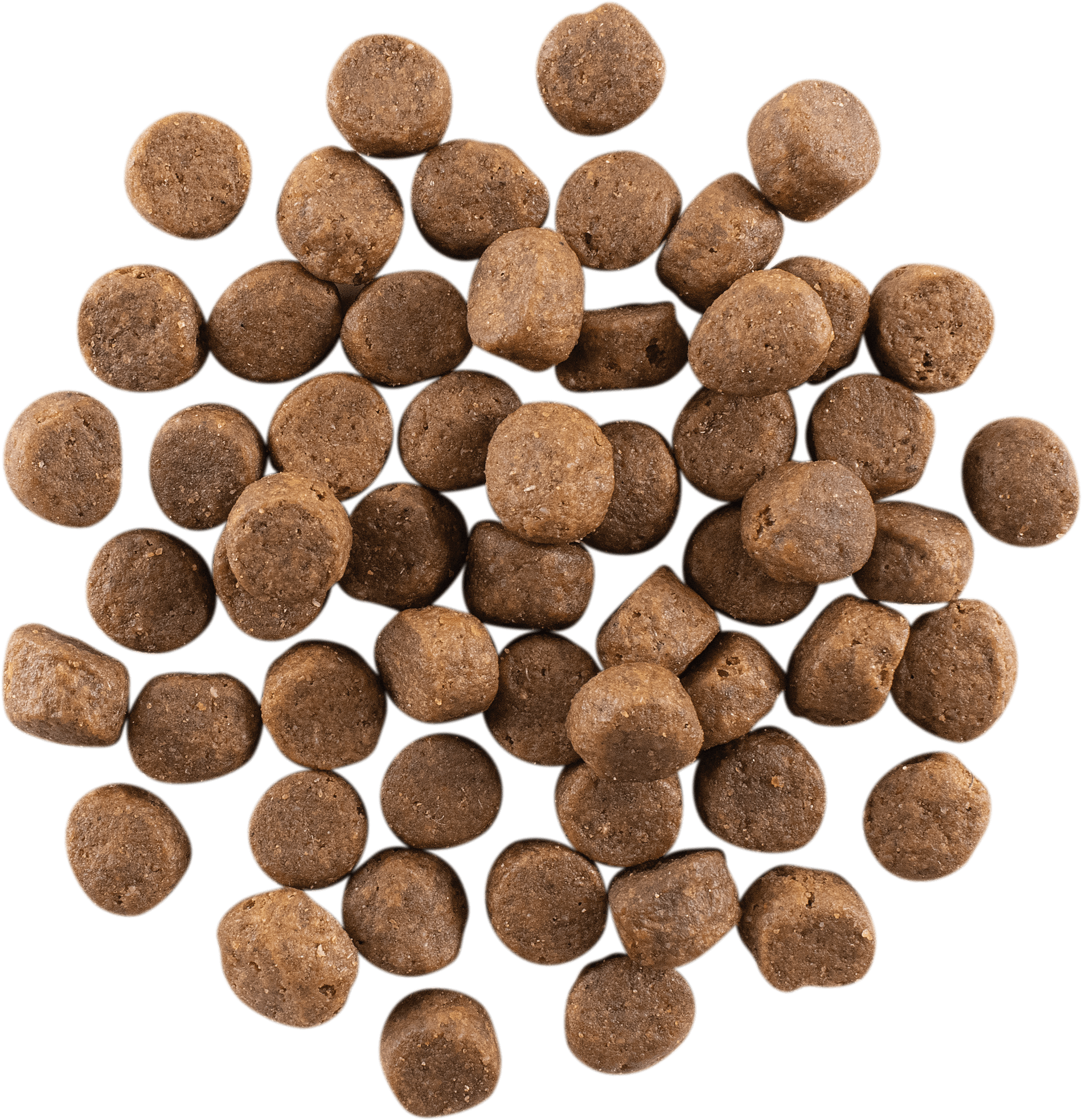 GO! SOLUTIONS CARNIVORE GF Chicken, Turkey + Duck Adult Recipe | 1.6kg