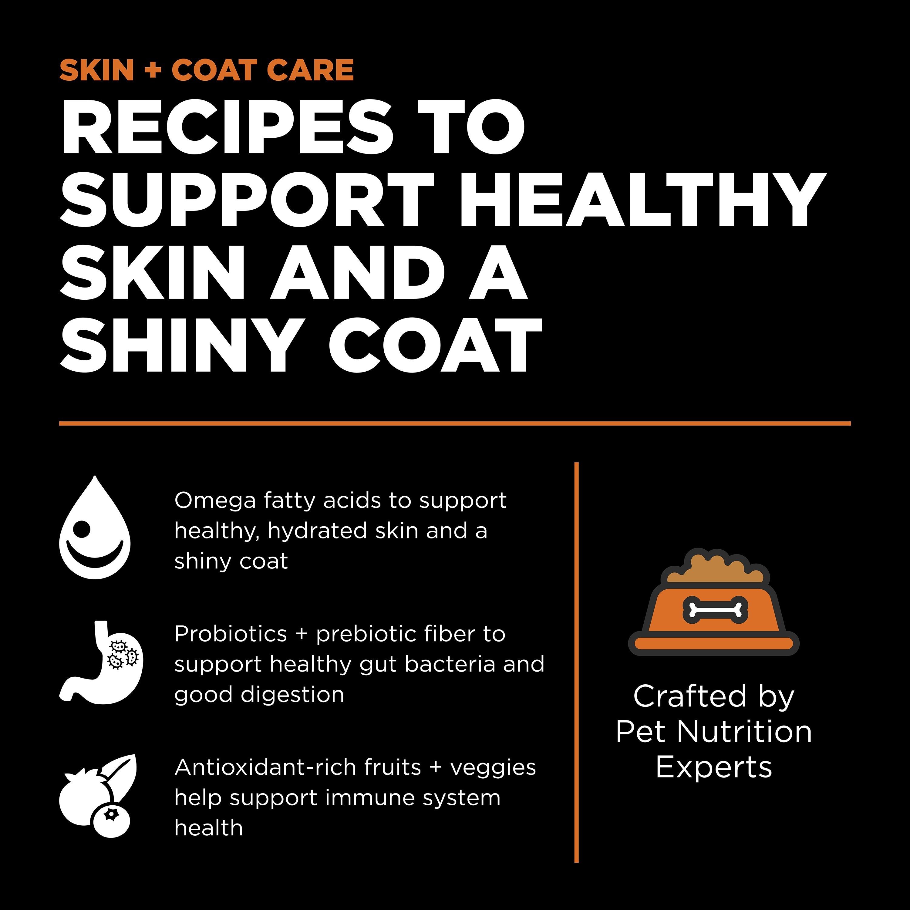 GO! SOLUTIONS SKIN + COAT CARE Salmon Recipe | 5.4kg