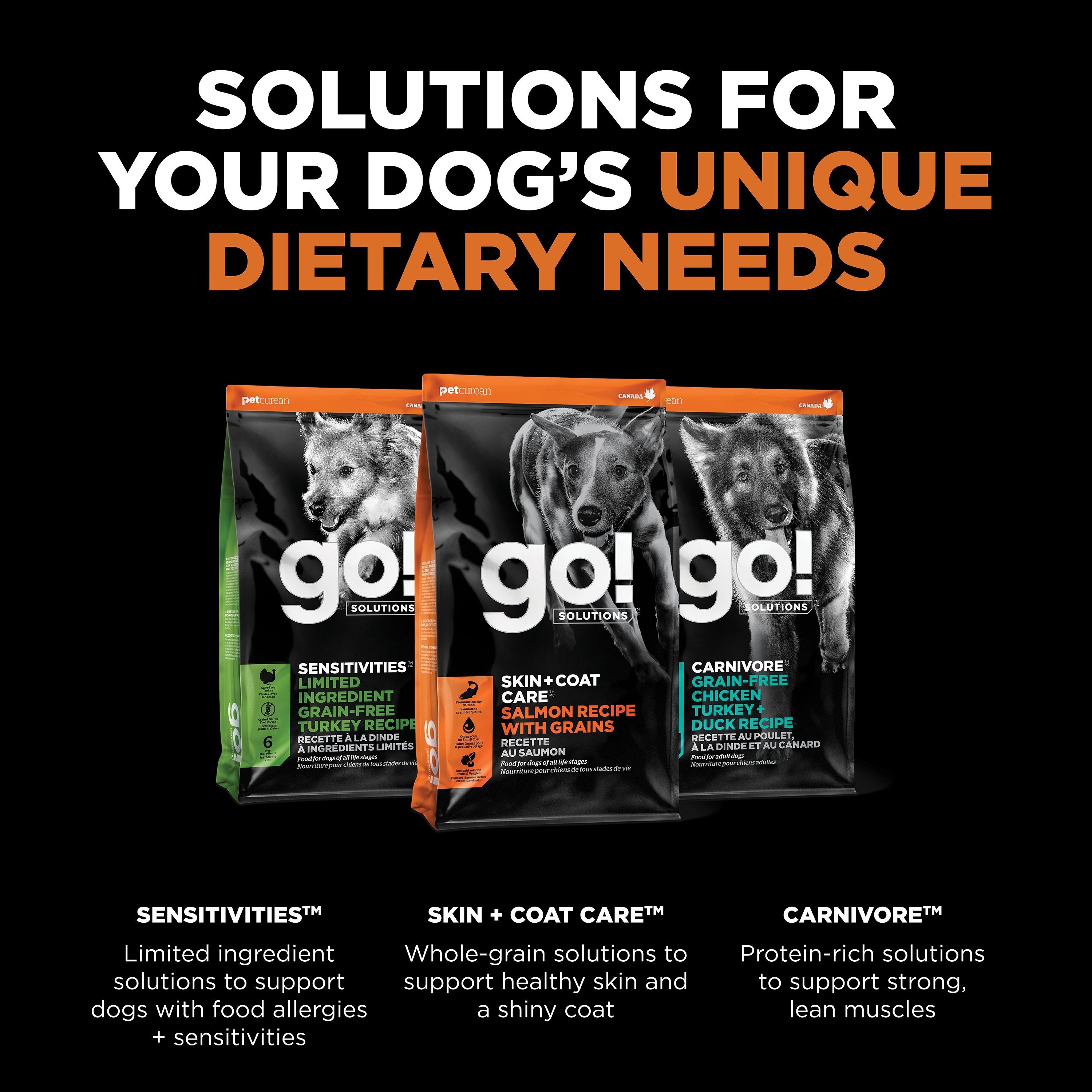 GO! SOLUTIONS SKIN + COAT CARE Salmon Recipe | 5.4kg