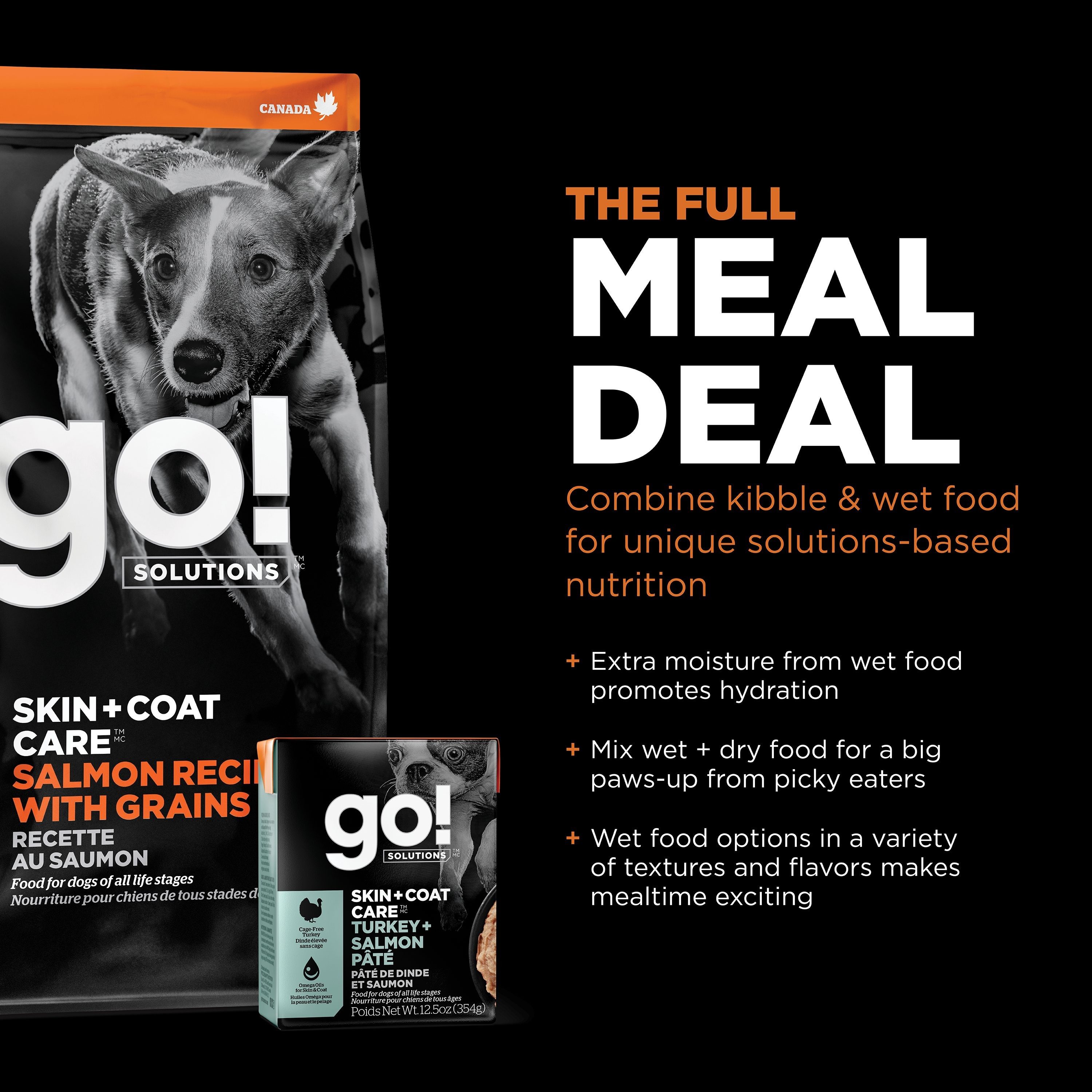 GO! SOLUTIONS SKIN + COAT CARE Salmon Recipe | 5.4kg
