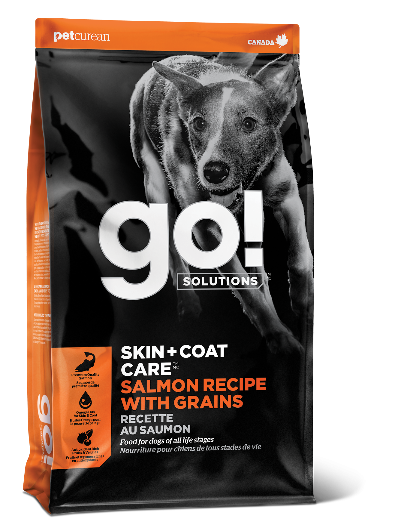 GO! SOLUTIONS SKIN + COAT CARE Salmon Recipe | 5.4kg