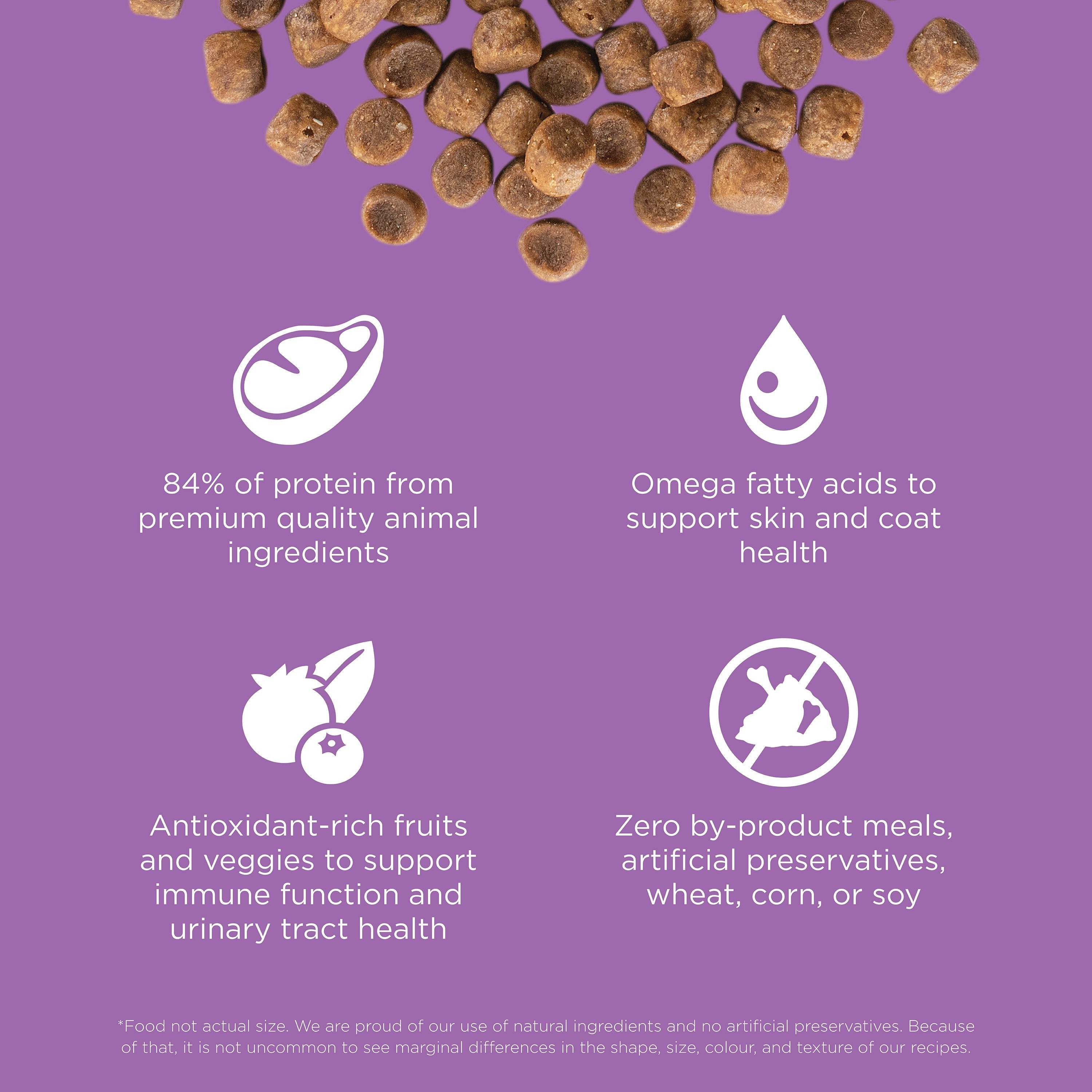 GO! SOLUTIONS CARNIVORE Grain Free Chicken, Turkey + Duck Recipe | 1.4kg