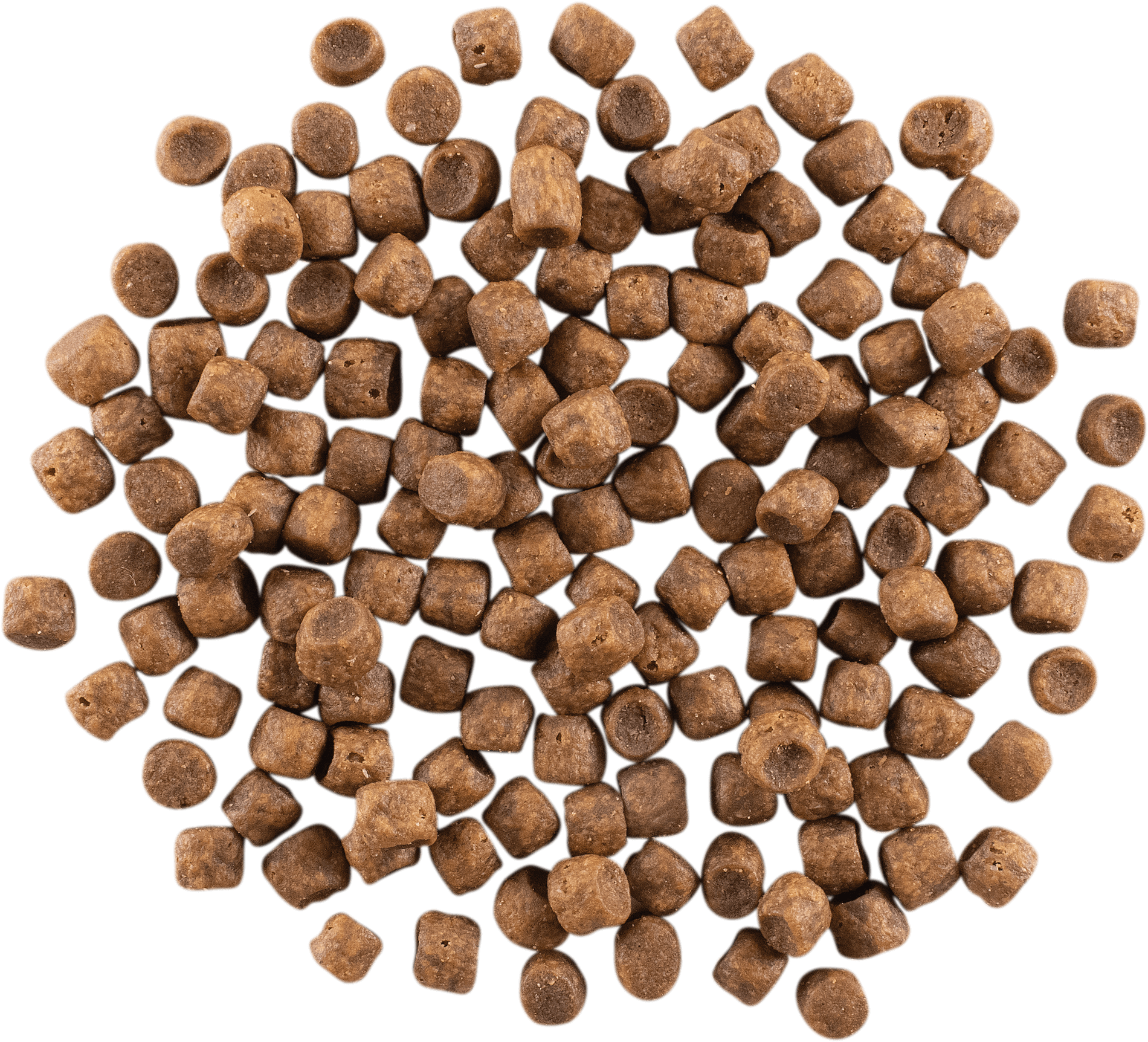 GO! SOLUTIONS CARNIVORE Grain Free Chicken, Turkey + Duck Recipe | 1.4kg