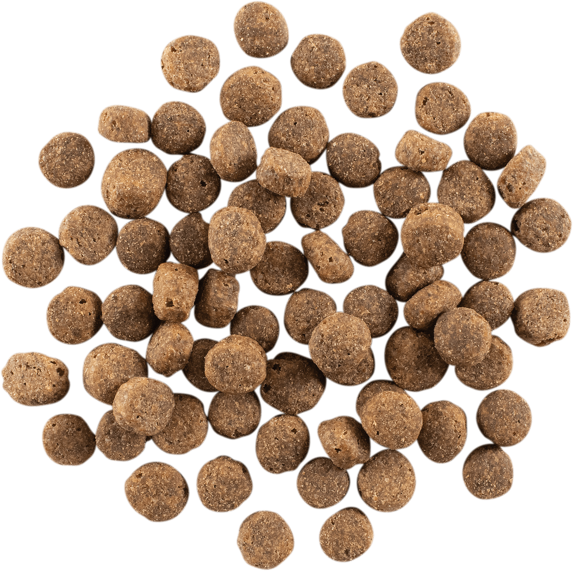 NOW FRESH Turkey, Salmon + Duck Senior Recipe | 5.4kg