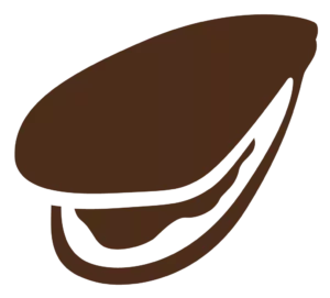 New Zealand Green Mussel