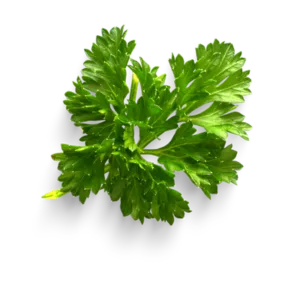 Parsley